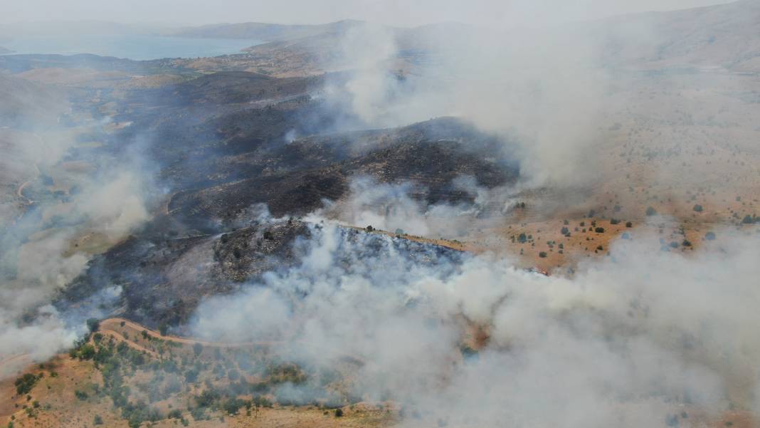 Elazığ'da orman yangını 3